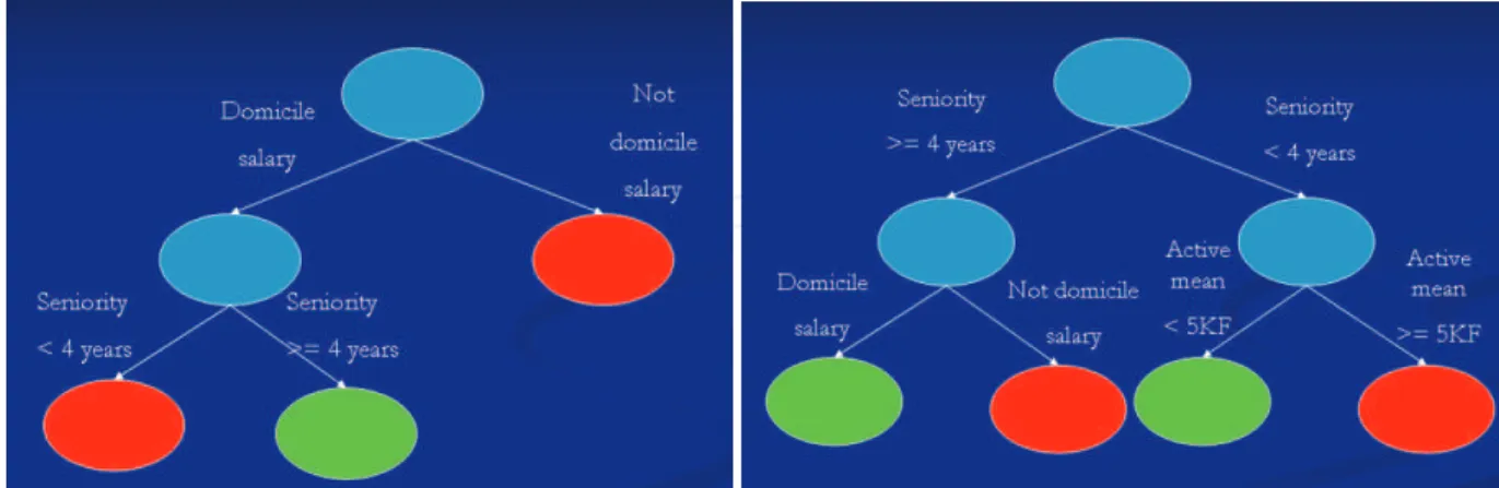 Figure 2 shows the result obtained on the “Credit” dataset that can be found in the SPAD  software (source: www.spadsoft.com)