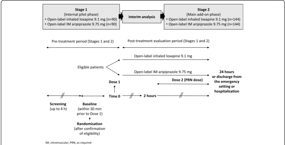 Fig. 1 Study design