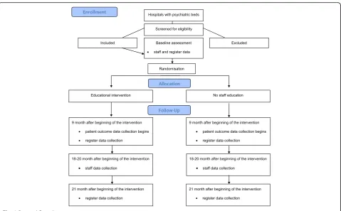 Fig. 1 Protocol flow diagram