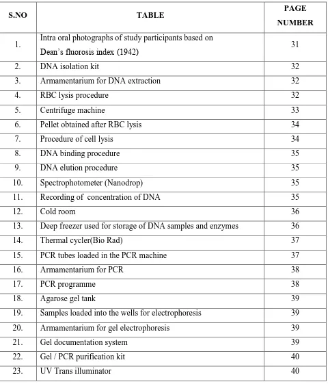 PAGE TABLE NUMBER 