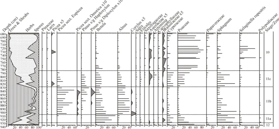 Fig. 3. Percentage diagram of select taxa from MIS10 to MIS12. The climatic optimum is represented by zone 11b