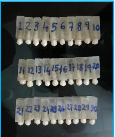 Figure 5: Group II samples for at-home bleaching