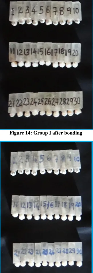 Figure 15: Group II after bonding 