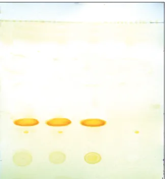 Figure 9: Chromatogram for determination of the index “impurity B” by TLC method: 1 - Test solution of the preparation Тhioktacid® 600 Т solution for intravenous administration (about 34 mkg of TA), 2 - test solution of the developing solution (about 34 mkg of TA), 3 - reference solution (1 mkg of impurity В, which corresponds to 3.0% of impurity in relevance to the amount of TA in the test solution), 4 - trometamol solution (38 mkg of trometamol)