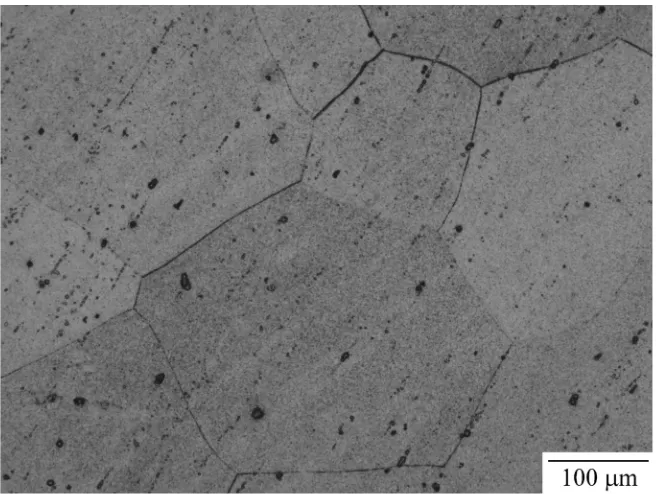 Fig. 1OM microstructures of as-extruded LZ101 alloy.