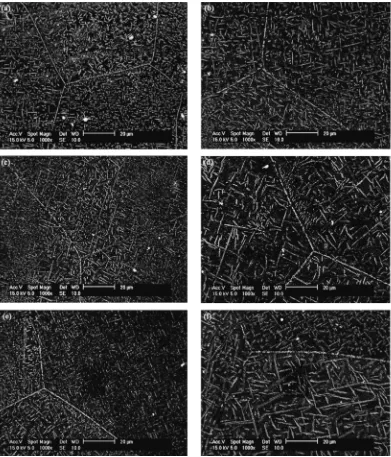 Fig. 4SEM microstructures of various aged LZ101 specimens. (a) room temperature, 86.4 ks, (b) room temperature, 345.6 ks, (c) 423 K,10.8 ks, (d) 423 K, 21.6 ks, (e) 523 K, 3.6 ks, (f) 523 K, 10.8 ks.