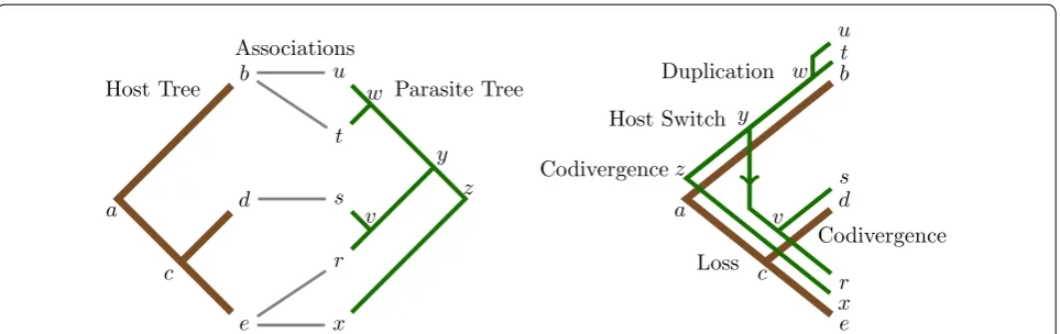 Fig. 1 Tanglegram instance and one of its optimal maps. The resultant map ((node w), host switch (at node right) of a pair of phylogenetic trees based on their known associations left)