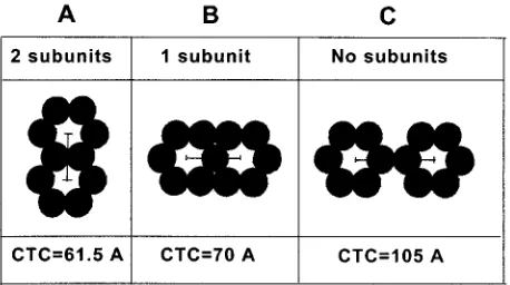 FIG. 6. Diagram of rings with two (A), one (B), or no (C) subunitsshared and the corresponding CTC spacing based on 35 Å diameter of