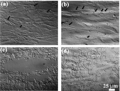 Fig. 8Optical microstructures of Co-Ni-Cr-Mo superalloy showed at " ¼ 0:5 at _" ¼ 0:01 s�1 in T (�C): (a) 950, (b) 1050, (c) 1150, and(d) 1200.