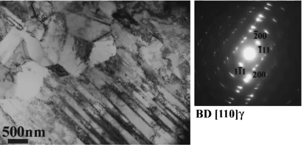 Fig. 10TEM micrograph and diﬀraction pattern deformed by " ¼ 0:5 at T ¼ 950�C at _" ¼ 10 s�1.