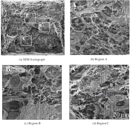Fig. 6(a) SEM fractograph and (b)–(d) magniﬁed images where tomographic analysis was applied