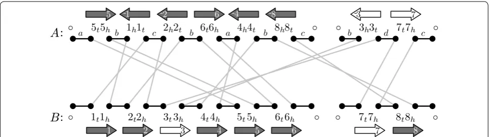 Fig. 1 The colored adjacency graph G(A, B, col). Black edges are adjacency edges and gray edges are cross edges