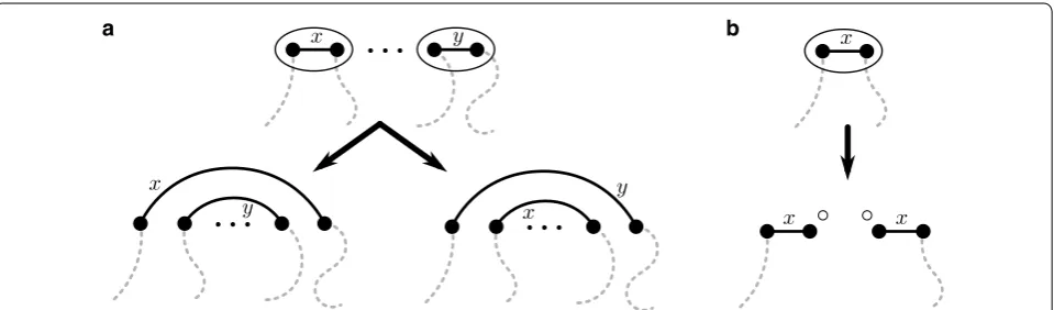 Fig. 4 The update of colors by a DCJ. this case the reconfigurations are achieved by swapping either both right-hand endpoints or both left-hand endpoints of the adjacency edges