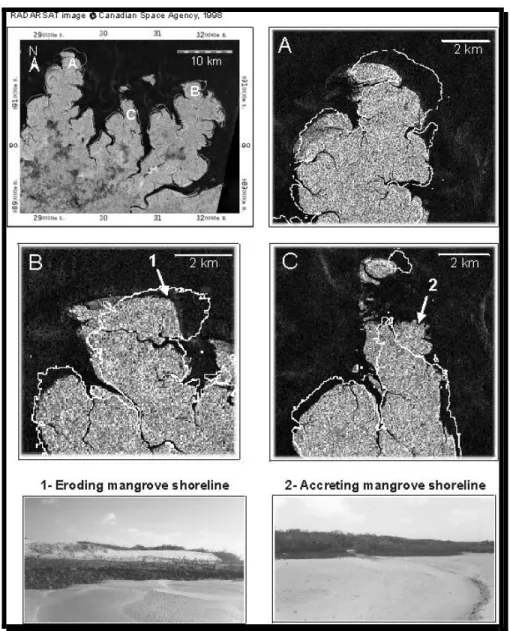 Figure 3- 1998 RADARSAT image and superimposed vector showing shoreline changes since 1972, coastal erosion and accretion, island migration and geomorphologic features