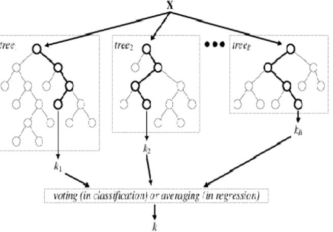 Figure 4. Random Forest architecture for classification and regression analysis (picture was  taken from 