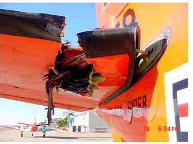 Figure 1.2.1 Bird Impact on Light Aircraft (Source Unknown)