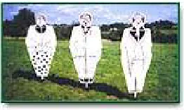 Figure 2.1.1 Rotating Scarecrows (Scaring Birds Website)