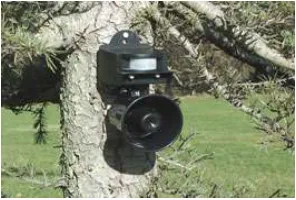 Figure 2.2.1: Bird Chaser (www.pest-control.bz)