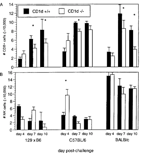 FIG. 2. Induction of RSV-speciﬁc CD8�H-2Kof CD8-T-cell responses. The speciﬁcity of CD8� T cells was examined by MHC tetramer staining using and-restricted CTL epitope from RSV M2 at the indicated time points after infection of BALB/c CD1d�/� and CD1d�/� m
