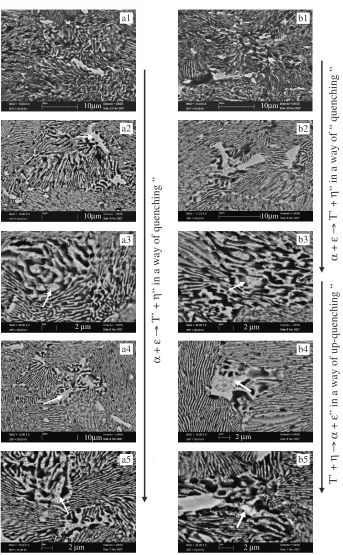 Fig. 2BSEM images of bulk part (a) and neck zones (b) of the tensile deformed non-EPT(a1) and EPT(b1) ZA alloy specimens withvarious current densities 10A/10s (a2) and (b2), 15A/10s (a3) and (b3), 20A/10s (a4) and (b4), 30A/10s (a5) and (b5).