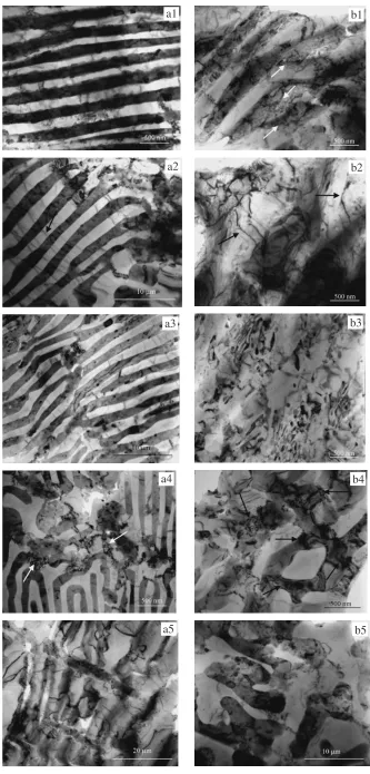 Fig. 4TEM bright ﬁeld images of the bulk part (a) and neck zone (b) 0f non-EPT (1), 10A/10s- (2), 15A/10s- (3), 20A/10s- (4) and30A/10s- (5) EPT + Tensile deformed Zn-Al based alloy specimens.