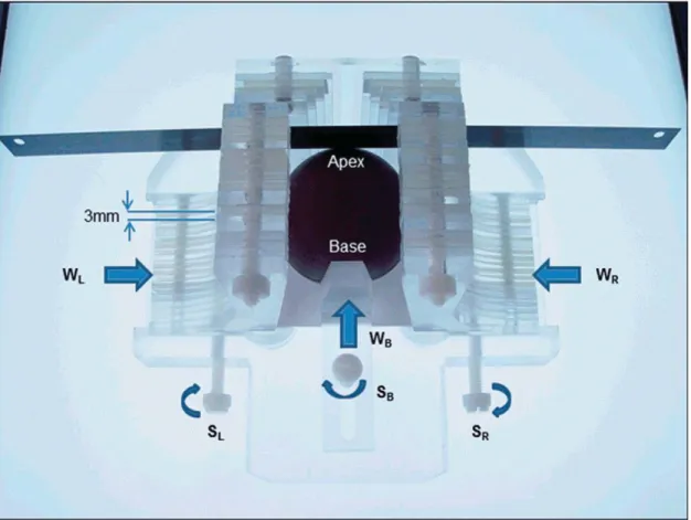 Figure 2.6 Prostate sectioning box made of Acrylic and Teflon. The box is shown with a  spherical prostate model and the movable walls on the left (WL) right (WR) and base  (WB) are pushed in to hold the model securely