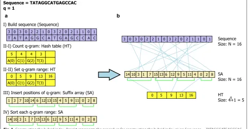 Fig. 1 Constructing the hybrid index. Panel a represents the procedure for constructing the hybrid index given Sequence = TATAGGCATGAGCCAC and q = 1