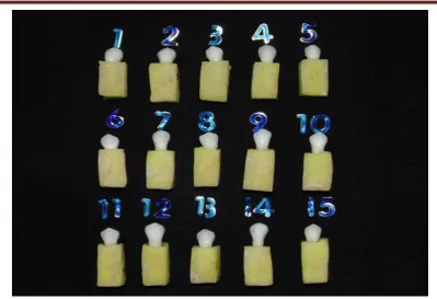 Figure 3: Samples (15) of Group III 