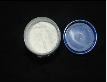 Figure 8: Papain Powder 