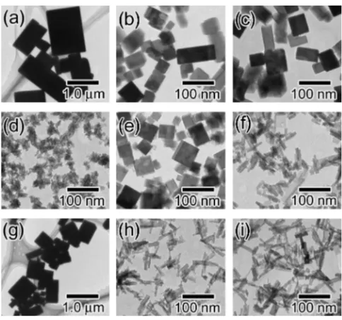 Fig. 1TEM images of the particles synthesized in the absence of aminoacid (a), (b), (c), and in the presence of Asp (d), (e), (f) and Gly (g), (h), (i)under diﬀerent initial pH condition: (a), (d), (g): pH 8; (b), (e), (h): pH 9;(c), (f), (i): pH 10.