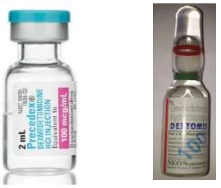 Fig  2:  Dexmedetomidine Vial and Ampoule
