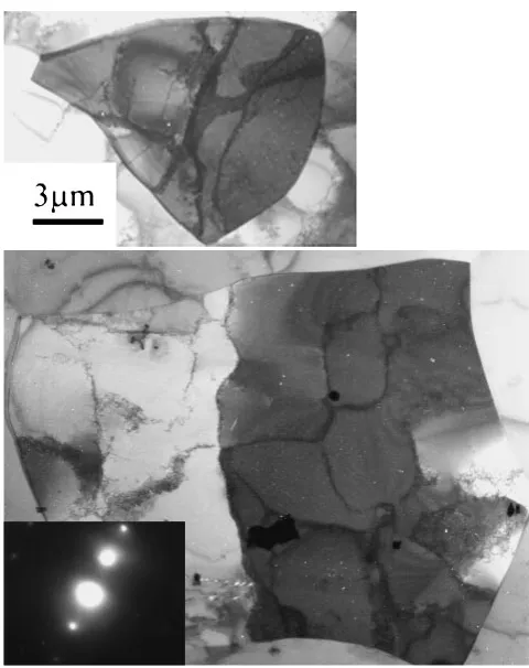 Fig. 5TEM micrographs and associated SAED pattern after 8 passes.