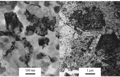 Fig. 4TEM micrographs of ECAP processed copper (8 passes) after isochronal annealing (10 min), left: at 110�C, right: at 150�C.