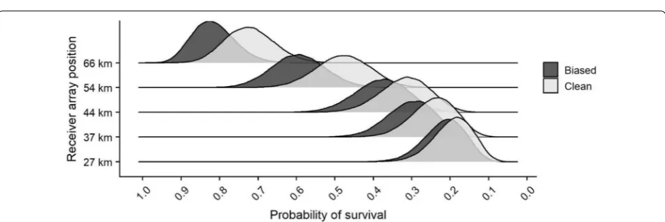 Fig. 5 Posterior distribution of the probability of detection estimated at each array for the biased group (dark grey) and the clean group (light grey)