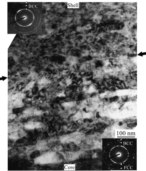 Fig. 2SEM micrograph of the SUS316L powder mechanically milled for180 ks. A shell/core structure can be observed