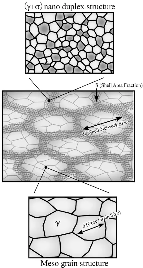Fig. 6Schematic illustration of the nano/meso hybrid microstructure inthe SUS316L HRS material.