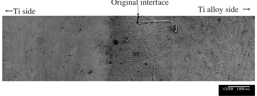 Fig. 1Scanning electron micrograph of diﬀusion couple K3 at 1473 K for 43.2 ks.