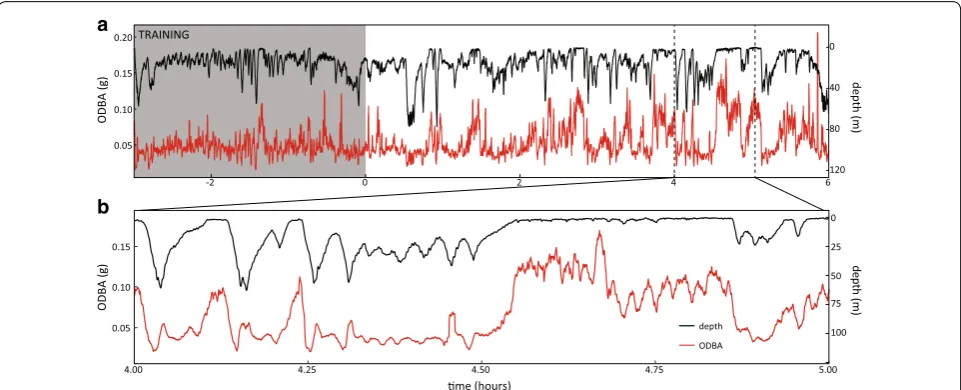 Fig. 1 Depth and locomotor activity of a free‑swimming white shark. Sample traces (a) of smoothed overall dynamic body acceleration (ODBA) (red) derived from tri‑axial acceleration, and vertical movement (black) data for shark 1 show how raw data is subdiv