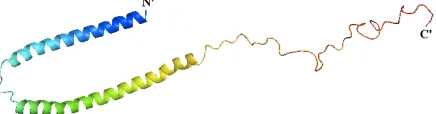 Figure 3. Structure of alpha-synuclein bound to lipid vesicles. The structure of the full-length human protein was determined by NMR (PDB ID: 1XQ8) and image was rendered in PyMol