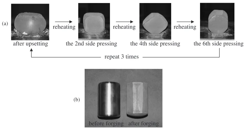 Fig. 1SEM micrographs of the present Ti-6Al-4V alloy after � annealing at 990�C for 30 min