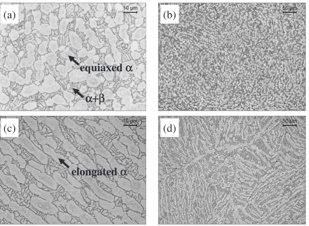 Fig. 3Optical micrographs after non-isothermal multi-step forging with the forging start temperature of 940�C: (a) and (b) the ACsample, (c) and (d) the FC sample.