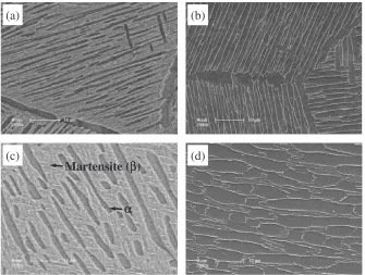 Fig. 7Microsturctural changes of the AC sample during thermal cycle (reheating and cooling at 940�C) without multi-step forging:(a) the ﬁrst reheating and water quenching, (b) the ﬁrst reheating and air cooling, (c) the ﬁfth reheating and water quenching, and (d) theﬁfth reheating and air cooling.