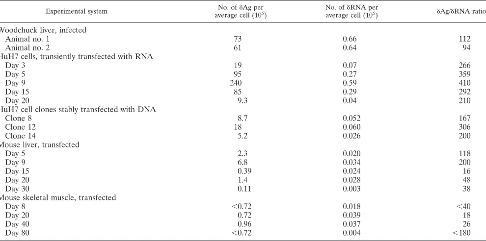 TABLE 3. Examples of quantitation during HDV genome replicationa