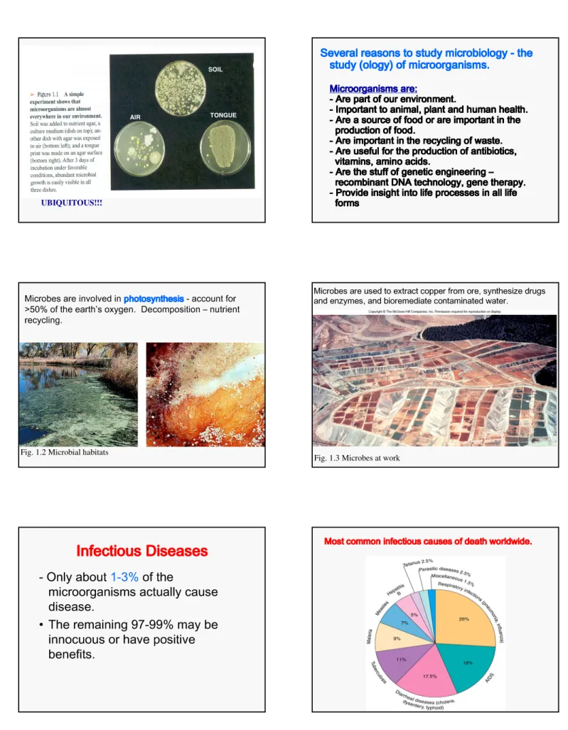 Fig. 1.2 Microbial habitats