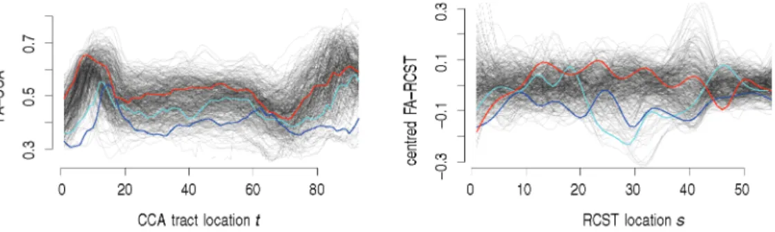 Figure 1 DTI data: Left panel shows observed FA values along the CCA tracts, right panel shows the centred and smoothed FA values along the RCST tracts
