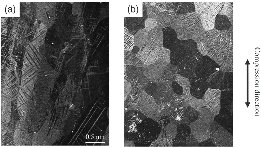 Fig. 5Microstructure of the specimens deformed to " ¼ 0:01 at the angles of (a) 0 degree and (b) 90 degree, where the testing temperatureis room temperature.