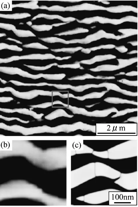 Fig. 6Microstructure of a nickel based superalloy crept at 1193 K for1145 h and the result of phase-ﬁeld simulation in this work