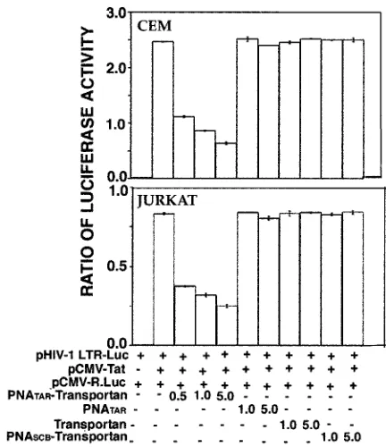 FIG. 5. Tat-mediated transactivation of HIV-1 LTR. The indicatedamounts of pCMV-Tat were cotransfected along with a plasmid cock-