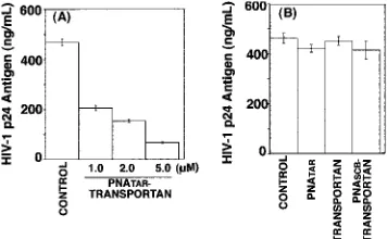 FIG. 7. RNase protection assay. (A) Jurkat cells were transfected with 4 �probe. The protected fragments were analyzed on a denaturing polyacrylamide-urea gel and visualized on a PhosphorImager.normalized to total RNA in the cell