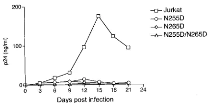 FIG. 3. Replication kinetics of viruses carrying TRTI resistancemutations. Jurkat T cells were infected on day 0 with a WT HIV-1 R3B